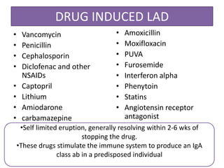 DRUG INDUCED LAD
• Vancomycin
• Penicillin
• Cephalosporin
• Diclofenac and other
NSAIDs
• Captopril
• Lithium
• Amiodarone
• carbamazepine
• Amoxicillin
• Moxifloxacin
• PUVA
• Furosemide
• Interferon alpha
• Phenytoin
• Statins
• Angiotensin receptor
antagonist
•Self limited eruption, generally resolving within 2-6 wks of
stopping the drug.
•These drugs stimulate the immune system to produce an IgA
class ab in a predisposed individual
 