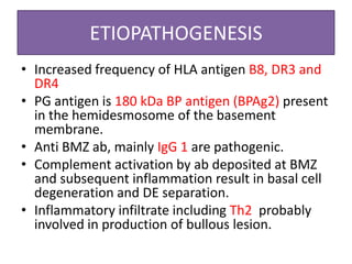 ETIOPATHOGENESIS
• Increased frequency of HLA antigen B8, DR3 and
DR4
• PG antigen is 180 kDa BP antigen (BPAg2) present
in the hemidesmosome of the basement
membrane.
• Anti BMZ ab, mainly IgG 1 are pathogenic.
• Complement activation by ab deposited at BMZ
and subsequent inflammation result in basal cell
degeneration and DE separation.
• Inflammatory infiltrate including Th2 probably
involved in production of bullous lesion.
 