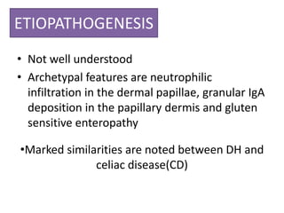 ETIOPATHOGENESIS
• Not well understood
• Archetypal features are neutrophilic
infiltration in the dermal papillae, granular IgA
deposition in the papillary dermis and gluten
sensitive enteropathy
•Marked similarities are noted between DH and
celiac disease(CD)
 