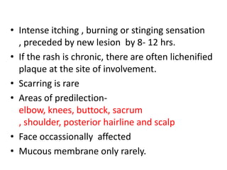 • Intense itching , burning or stinging sensation
, preceded by new lesion by 8- 12 hrs.
• If the rash is chronic, there are often lichenified
plaque at the site of involvement.
• Scarring is rare
• Areas of predilection-
elbow, knees, buttock, sacrum
, shoulder, posterior hairline and scalp
• Face occassionally affected
• Mucous membrane only rarely.
 