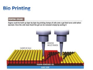 3D printing introduction 