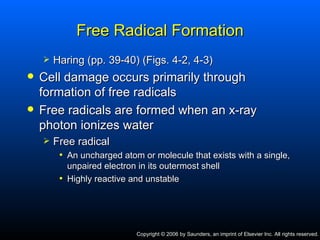 Shell Haring Dh 111 radiation biology (ch.4) power point | PPT