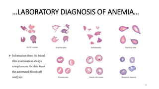 DH2 Unit 02 Anaemias Red Blood Cell Morphology and Approach to ...