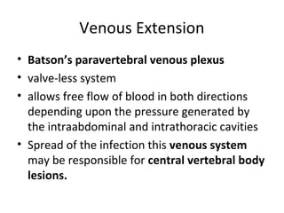 Venous Extension
• Batson’s paravertebral venous plexus
• valve-less system
• allows free flow of blood in both directions
depending upon the pressure generated by
the intraabdominal and intrathoracic cavities
• Spread of the infection this venous system
may be responsible for central vertebral body
lesions.
 