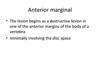 Anterior marginal
• The lesion begins as a destructive lesion in
one of the anterior margins of the body of a
vertebra
• minimally involving the disc space
 