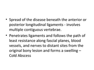 • Spread of the disease beneath the anterior or
posterior longitudinal ligaments - involves
multiple contiguous vertebrae.
• Penetrates ligaments and follows the path of
least resistance along fascial planes, blood
vessels, and nerves to distant sites from the
original bony lesion and forms a swelling –
Cold Abscess
 