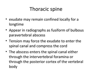 Thoracic spine
• exudate may remain confined locally for a
longtime
• Appear in radiographs as fusiform of bulbous
paravertebral abscess
• Tension may force the exudate to enter the
spinal canal and compress the cord
• The abscess enters the spinal canal either
through the intervertebral foramina or
through the posterior cortex of the vertebral
body
 