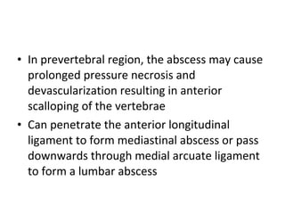 • In prevertebral region, the abscess may cause
prolonged pressure necrosis and
devascularization resulting in anterior
scalloping of the vertebrae
• Can penetrate the anterior longitudinal
ligament to form mediastinal abscess or pass
downwards through medial arcuate ligament
to form a lumbar abscess
 