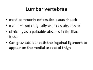 Lumbar vertebrae
• most commonly enters the psoas sheath
• manifest radiologically as psoas abscess or
• clinically as a palpable abscess in the iliac
fossa
• Can gravitate beneath the inguinal ligament to
appear on the medial aspect of thigh
 
