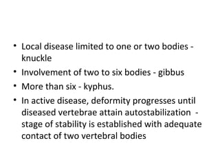 • Local disease limited to one or two bodies -
knuckle
• Involvement of two to six bodies - gibbus
• More than six - kyphus.
• In active disease, deformity progresses until
diseased vertebrae attain autostabilization -
stage of stability is established with adequate
contact of two vertebral bodies
 