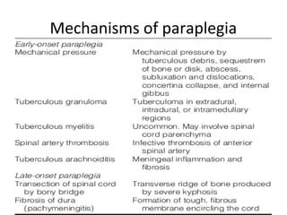 Mechanisms of paraplegia
 