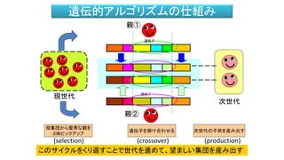 遺伝的アルゴリズムの仕組み
遺伝子
遺伝子
次世代
親①
親②
母集団から優秀な親を
２体ピックアップ
遺伝子を掛け合わせる 次世代の子供を産み出す
(selection) (crossover) (production)
現世代
このサイクルをくり返すことで世代を進めて、望ましい集団を産み出す
遺伝子
遺伝子
 