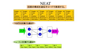 NEAT
回路の構成を遺伝子コードで表現する。
Weight: 1.2
From: 1
To: 3
Enabled: Y
Recurrent: N
Innovation: 1
Weight: -3
From: 1
To: 4
Enabled: Y
Recurrent: N
Innovation: 6
Weight: 0.7
From: 2
To: 4
Enabled: Y
Recurrent: N
Innovation: 2
Weight: -2.1
From: 3
To: 4
Enabled: Y
Recurrent: N
Innovation: 6
Weight: 1.1
From: 3
To: 5
Enabled: N
Recurrent: N
Innovation: 3
Weight: 0.8
From: 4
To: 5
Enabled: Y
Recurrent: N
Innovation: 4
Weight: -1
From: 5
To: 3
Enabled: Y
Recurrent: Y
Innovation: 7
ID: 1
Type: Input
ID: 2
Type: Input
ID: 3
Type: hidden
ID: 4
Type: hidden
ID: 5
Type: Output
2
1
4
3
5
つなぎ方を定義する遺伝子
ニューロンを定義する遺伝子
入力 出力
 