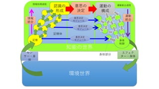 知能の世界
環境世界
認識の
形成
記憶
意思の
決定
身体
制御
エフェク
ター・身体
運動の
構成
セン
サー・身
体
意思決定
モジュール
意思決定
モジュール
意思決定
モジュール
記憶体
情報処理過程 運動創出過程
身体部分
情報
統合
運動
統合
 