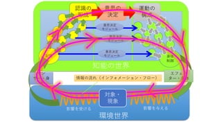 知能の世界
環境世界
認識の
形成
記憶
意思の
決定
身体
制御
エフェク
ター・身体
運動の
構成
セン
サー・身
体
意思決定
モジュール
意思決定
モジュール
意思決定
モジュール
対象・
現象
情報の流れ（インフォメーション・フロー）
影響を与える影響を受ける
 