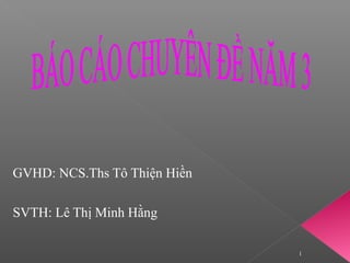 GVHD: NCS.Ths Tô Thiện Hiền
SVTH: Lê Thị Minh Hằng
1
 