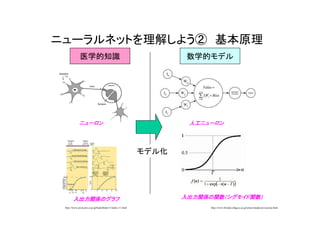 ニューラルネットを理解しよう② 基本原理
http://www.pri.kyoto-u.ac.jp/brain/brain/11/index-11.html
医学的知識
http://www.biwako.shiga-u.ac.jp/sensei/mnaka/ut/sozai/ai.html
モデル化
数学的モデル
ニューロン 人工ニューロン
入出力関係のグラフ 入出力関係の関数（シグモイド関数）
 