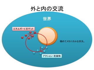 世界
外と内の交流
エネルギーE をゲット
アクション・老廃物
極めてメカニカルな次元。
 