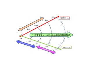 空間スケール
時間スケール
0 時空間スケールによる体験の段階的形成
 