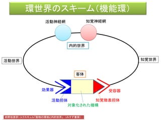 環世界のスキーム（機能環）
効果器 受容器
客体
活動神経網 知覚神経網
前野佳彦訳・ユクスキュル「動物の環境と内的世界」 （みすず書房）
知覚世界活動世界
知覚微表担体
対象化された機構
活動担体
内的世界
 