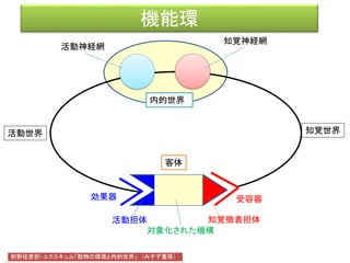 機能環
効果器 受容器
客体
活動神経網
知覚神経網
前野佳彦訳・ユクスキュル「動物の環境と内的世界」 （みすず書房）
知覚世界活動世界
知覚微表担体
対象化された機構
活動担体
内的世界
 