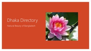 Dhaka Directory
Natural Beauty of Bangladesh
 