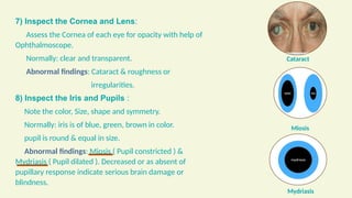 health assessment of an individuals differet body parts in nursing.pptx