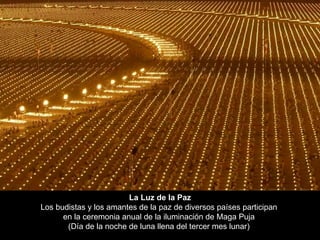 La Luz de la Paz Los budistas y los amantes de la paz de diversos países participan  en la ceremonia anual de la iluminación de Maga Puja  (Día de la noche de luna llena del tercer mes lunar)  