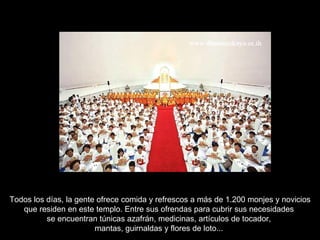 Todos los días, la gente ofrece comida y refrescos a más de 1.200 monjes y novicios que residen en este templo. Entre sus ofrendas para cubrir sus necesidades  se encuentran túnicas azafrán, medicinas, artículos de tocador,  mantas, guirnaldas y flores de loto...  