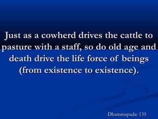 Just as a cowherd drives the cattle toJust as a cowherd drives the cattle to
pasture with a staff, so do old age andpasture with a staff, so do old age and
death drive the life force of beingsdeath drive the life force of beings
(from existence to existence).(from existence to existence).
Dhammapada: 135Dhammapada: 135
 