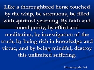 Like a thoroughbred horse touchedLike a thoroughbred horse touched
by the whip, be strenuous, be filledby the whip, be strenuous, be filled
with spiritual yearning. By faith andwith spiritual yearning. By faith and
moral purity, by effort andmoral purity, by effort and
meditation, by investigation of themeditation, by investigation of the
truth, by being rich in knowledge andtruth, by being rich in knowledge and
virtue, and by being mindful, destroyvirtue, and by being mindful, destroy
this unlimited suffering.this unlimited suffering.
Dhammapada: 144Dhammapada: 144
 