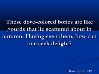 These dove-colored bones are likeThese dove-colored bones are like
gourds that lie scattered about ingourds that lie scattered about in
autumn. Having seen them, how canautumn. Having seen them, how can
one seek delight?one seek delight?
Dhammapada: 149Dhammapada: 149
 