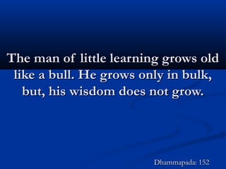 The man of little learning grows oldThe man of little learning grows old
like a bull. He grows only in bulk,like a bull. He grows only in bulk,
but, his wisdom does not grow.but, his wisdom does not grow.
Dhammapada: 152Dhammapada: 152
 
