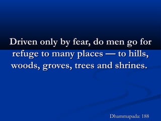 Driven only by fear, do men go forDriven only by fear, do men go for
refuge to many places — to hills,refuge to many places — to hills,
woods, groves, trees and shrines.woods, groves, trees and shrines.
Dhammapada: 188Dhammapada: 188
 