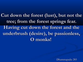 Cut down the forest (lust), but not theCut down the forest (lust), but not the
tree; from the forest springs fear.tree; from the forest springs fear.
Having cut down the forest and theHaving cut down the forest and the
underbrush (desire), be passionless,underbrush (desire), be passionless,
O monks!O monks!
Dhammapada: 283Dhammapada: 283
 
