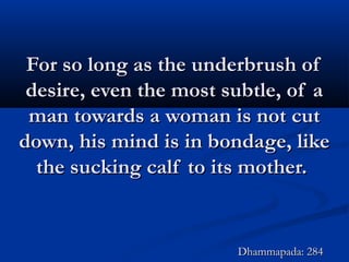 For so long as the underbrush ofFor so long as the underbrush of
desire, even the most subtle, of adesire, even the most subtle, of a
man towards a woman is not cutman towards a woman is not cut
down, his mind is in bondage, likedown, his mind is in bondage, like
the sucking calf to its mother.the sucking calf to its mother.
Dhammapada: 284Dhammapada: 284
 