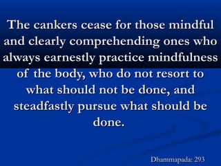 The cankers cease for those mindfulThe cankers cease for those mindful
and clearly comprehending ones whoand clearly comprehending ones who
always earnestly practice mindfulnessalways earnestly practice mindfulness
of the body, who do not resort toof the body, who do not resort to
what should not be done, andwhat should not be done, and
steadfastly pursue what should besteadfastly pursue what should be
done.done.
Dhammapada: 293Dhammapada: 293
 