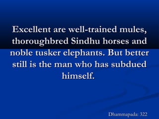 Excellent are well-trained mules,Excellent are well-trained mules,
thoroughbred Sindhu horses andthoroughbred Sindhu horses and
noble tusker elephants. But betternoble tusker elephants. But better
still is the man who has subduedstill is the man who has subdued
himself.himself.
Dhammapada: 322Dhammapada: 322
 