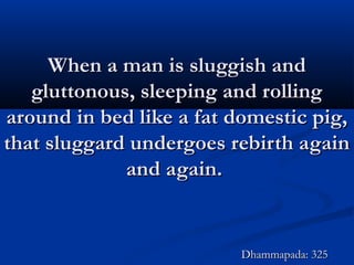 When a man is sluggish andWhen a man is sluggish and
gluttonous, sleeping and rollinggluttonous, sleeping and rolling
around in bed like a fat domestic pig,around in bed like a fat domestic pig,
that sluggard undergoes rebirth againthat sluggard undergoes rebirth again
and again.and again.
Dhammapada: 325Dhammapada: 325
 