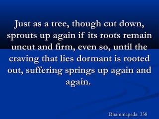 Just as a tree, though cut down,Just as a tree, though cut down,
sprouts up again if its roots remainsprouts up again if its roots remain
uncut and firm, even so, until theuncut and firm, even so, until the
craving that lies dormant is rootedcraving that lies dormant is rooted
out, suffering springs up again andout, suffering springs up again and
again.again.
Dhammapada: 338Dhammapada: 338
 