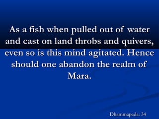 As a fish when pulled out of waterAs a fish when pulled out of water
and cast on land throbs and quivers,and cast on land throbs and quivers,
even so is this mind agitated. Henceeven so is this mind agitated. Hence
should one abandon the realm ofshould one abandon the realm of
Mara.Mara.
Dhammapada: 34Dhammapada: 34
 