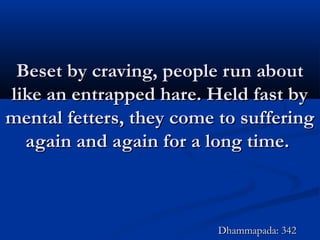 Beset by craving, people run aboutBeset by craving, people run about
like an entrapped hare. Held fast bylike an entrapped hare. Held fast by
mental fetters, they come to sufferingmental fetters, they come to suffering
again and again for a long time.again and again for a long time.
Dhammapada: 342Dhammapada: 342
 