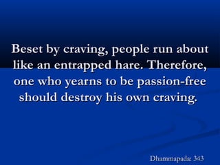 Beset by craving, people run aboutBeset by craving, people run about
like an entrapped hare. Therefore,like an entrapped hare. Therefore,
one who yearns to be passion-freeone who yearns to be passion-free
should destroy his own craving.should destroy his own craving.
Dhammapada: 343Dhammapada: 343
 