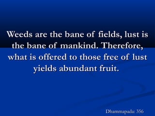 Weeds are the bane of fields, lust isWeeds are the bane of fields, lust is
the bane of mankind. Therefore,the bane of mankind. Therefore,
what is offered to those free of lustwhat is offered to those free of lust
yields abundant fruit.yields abundant fruit.
Dhammapada: 356Dhammapada: 356
 