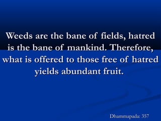 Weeds are the bane of fields, hatredWeeds are the bane of fields, hatred
is the bane of mankind. Therefore,is the bane of mankind. Therefore,
what is offered to those free of hatredwhat is offered to those free of hatred
yields abundant fruit.yields abundant fruit.
Dhammapada: 357Dhammapada: 357
 