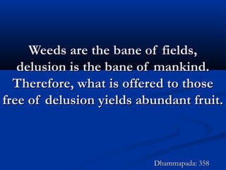 Weeds are the bane of fields,Weeds are the bane of fields,
delusion is the bane of mankind.delusion is the bane of mankind.
Therefore, what is offered to thoseTherefore, what is offered to those
free of delusion yields abundant fruit.free of delusion yields abundant fruit.
Dhammapada: 358Dhammapada: 358
 