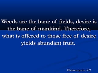 Weeds are the bane of fields, desire isWeeds are the bane of fields, desire is
the bane of mankind. Therefore,the bane of mankind. Therefore,
what is offered to those free of desirewhat is offered to those free of desire
yields abundant fruit.yields abundant fruit.
Dhammapada: 359Dhammapada: 359
 