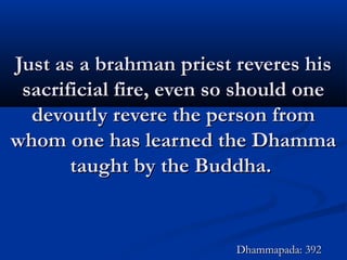 Just as a brahman priest reveres hisJust as a brahman priest reveres his
sacrificial fire, even so should onesacrificial fire, even so should one
devoutly revere the person fromdevoutly revere the person from
whom one has learned the Dhammawhom one has learned the Dhamma
taught by the Buddha.taught by the Buddha.
Dhammapada: 392Dhammapada: 392
 