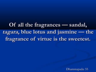 Of all the fragrances — sandal,Of all the fragrances — sandal,
tagara,tagara, blue lotus and jasmine — theblue lotus and jasmine — the
fragrance of virtue is the sweetest.fragrance of virtue is the sweetest.
Dhammapada: 55Dhammapada: 55
 