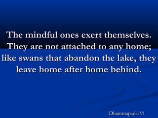 The mindful ones exert themselves.The mindful ones exert themselves.
They are not attached to any home;They are not attached to any home;
like swans that abandon the lake, theylike swans that abandon the lake, they
leave home after home behind.leave home after home behind.
Dhammapada: 91Dhammapada: 91
 